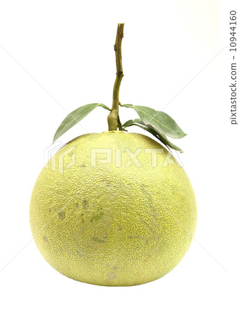 Green pomelo fruit Green pomelo fruit 10944160