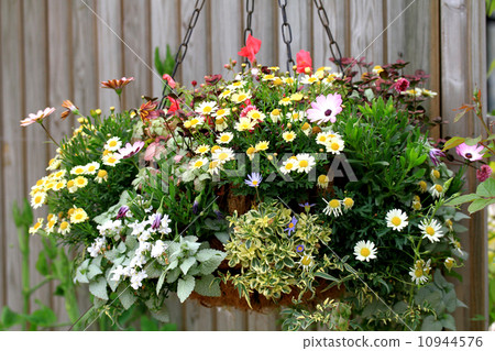 掛籃 掛籃 10944576