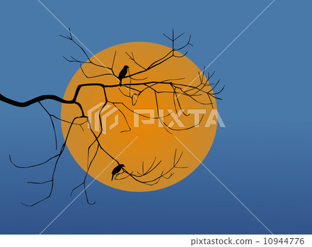 Vector silhouette of bird Vector silhouette of bird 10944776