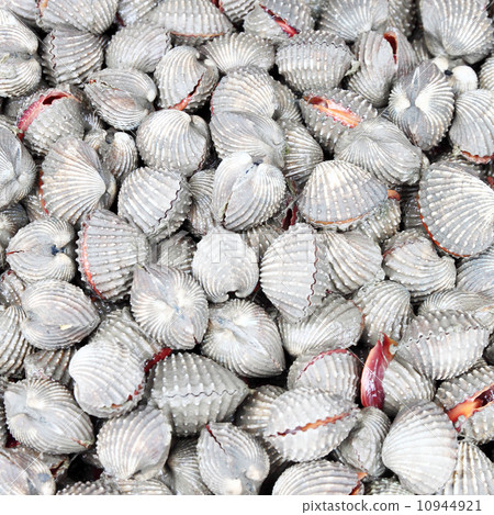 Cockles at the market Cockles at the market 10944921