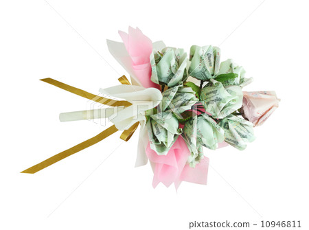 money flower money flower 10946811