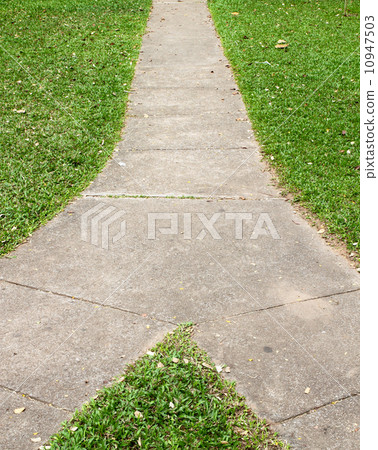 Fork in the pathway with grass 10947503