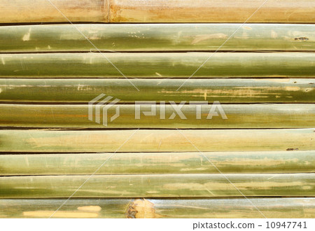 bamboo fence 10947741