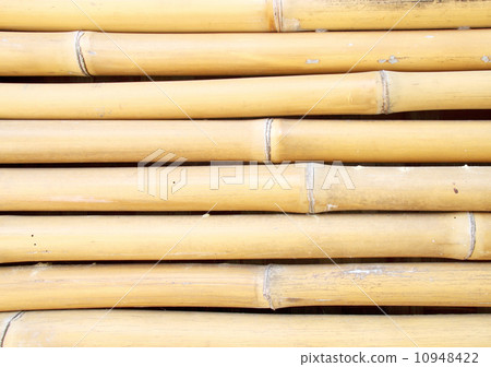 bamboo fence texture 10948422