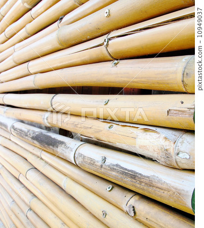 bamboo fence texture bamboo fence texture 10949037