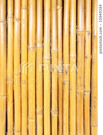 bamboo wall texture background 10949384
