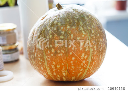 fresh pumpkin fresh pumpkin 10950138