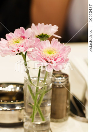 set in restaurant 10950487