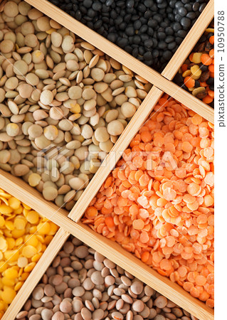 dried lentils 10950788