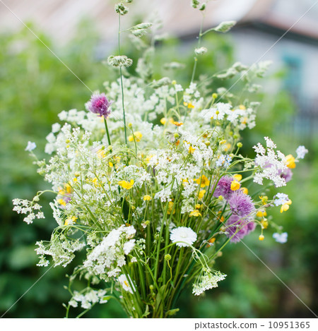 bouquet of bright wildflowers bouquet of bright wildflowers 10951365