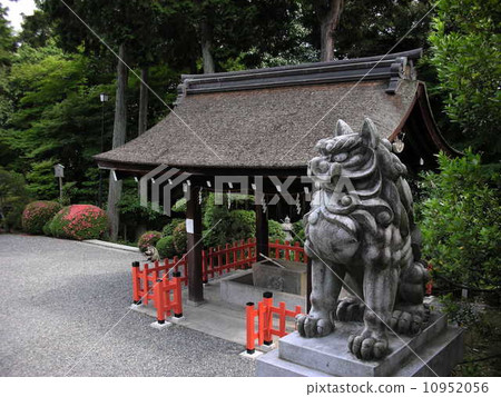 Komainu (Kun) / Kenmei Shrine 10952056