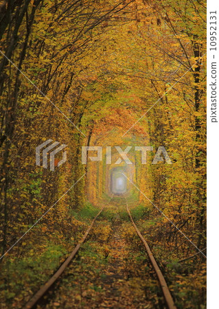 Ukraine · Krevin's tunnel in love Ukraine · Krevin's tunnel in love 10952131