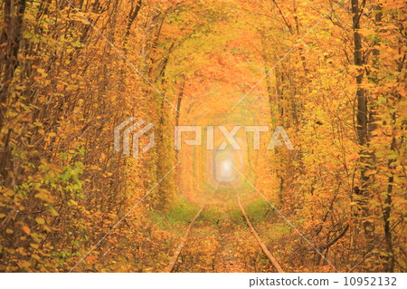 Ukraine · Krevin beside the tunnel of love 10952132