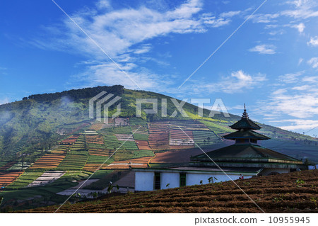 Field in Java 10955945