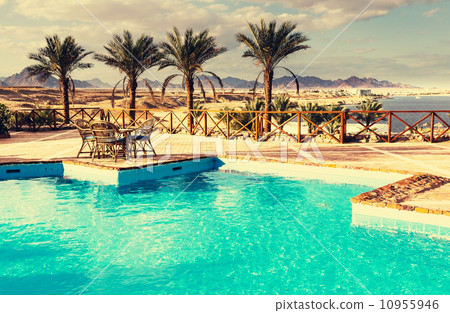 Swimming pool Swimming pool 10955946