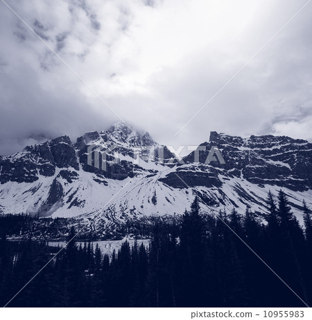 Canadian mountains 10955983