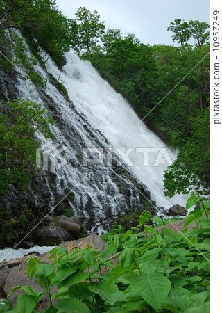 Oshinkoshin waterfall 10957249