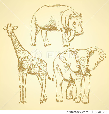 Sketch elepant, giraffe and hippo, vector background 10958122