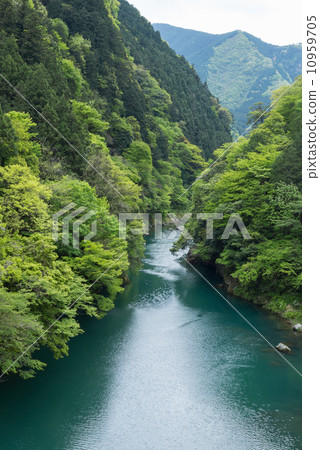 初夏的dovenos山谷 初夏的dovenos山谷 10959705