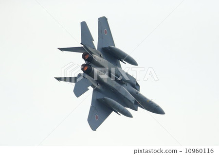 F 15戰鬥機 F 15戰鬥機 10960116