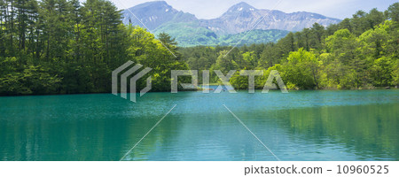 Gokurinuma of Uchibandai plateau 10960525