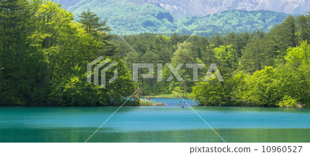 Gokurinuma of Uchibandai plateau 10960527