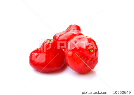 Rose Apple Rose Apple 10960649