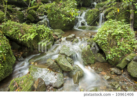 Sawa flowing into the Kikuchi Valley 10961406