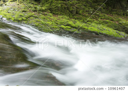 A stream of Kikuchi Valley and a mossy rock 10961407