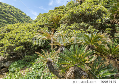 Cape Miyazaki Saotetsu Hometown and blue sky Cape Miyazaki Saotetsu Hometown and blue sky 10961415