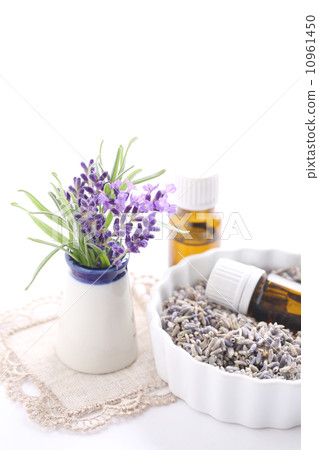 lavender lavender 10961450