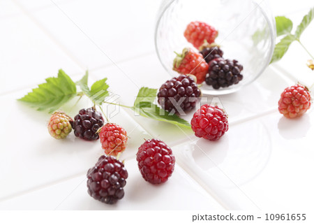 Blackberry  10961655