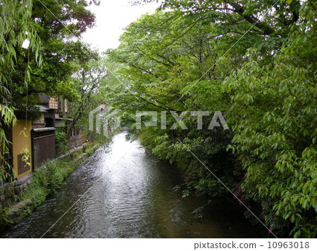 河水緩慢流動 10963018