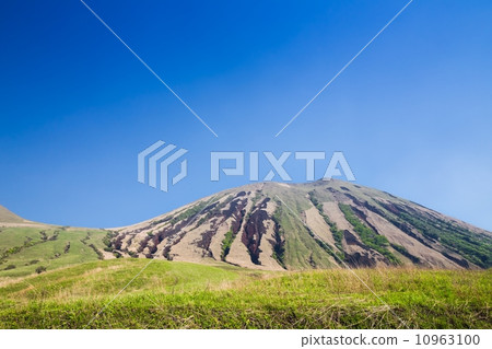 Mr. Kisabidake 10963100