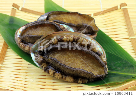 鮑魚 鮑魚 10963411