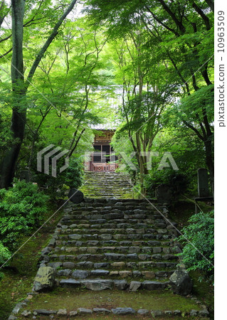 The approach of Kyoto Jukuji Temple 10963509