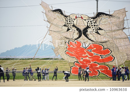 A large kite A large kite 10963638