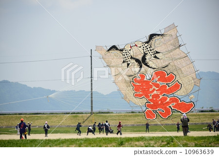 A large kite 10963639