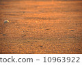 Sand which shines in madder color 10963922