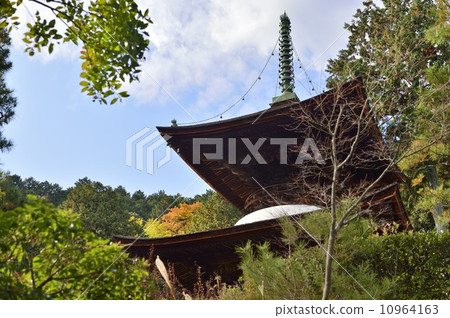 Jogakkoji Temple 10964163