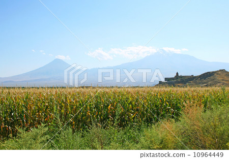 Khor Virap Church and mountain Ararat 10964449