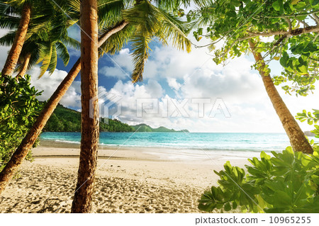 sunset on the beach Takamaka, Mahe island, Seychelles sunset on the beach Takamaka, Mahe island, Seychelles 10965255