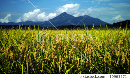 萬代和早期的日子 10965371