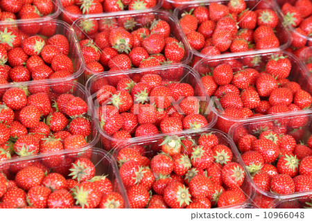 一個草莓 一個草莓 10966048