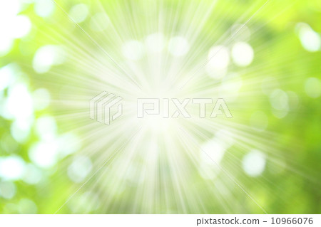 背景生態圖像 10966076