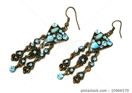 Earrings 10966570