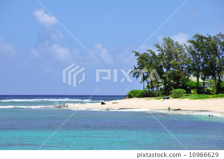 夏威夷 夏威夷 10966629