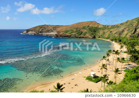 夏威夷 夏威夷 10966630