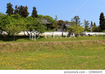 Kibiji Kibiji 10966845