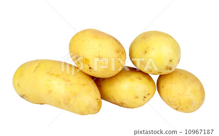 Heap of yellow raw potatos Heap of yellow raw potatos 10967187